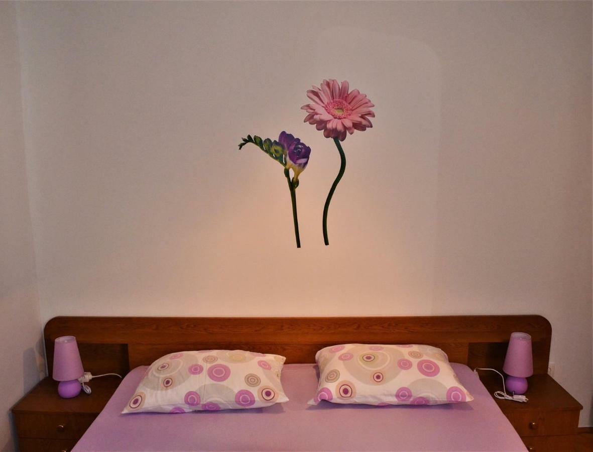 Apartman Rosa Pirovac Zewnętrze zdjęcie